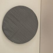 IMG_1265